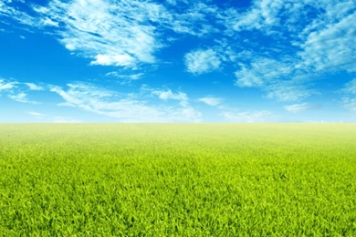 Free Wallpaper Backgrounds