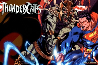 Feel The Magic, Hear The Roar!! THUNDERCATS Figures & Collectables ...