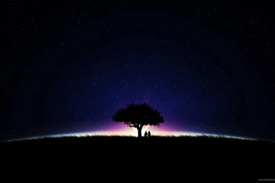 Silhouettes Of A Tree And Two People Wallpapers For Samsung Galaxy Tab