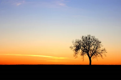 Lone Tree Sunset (By Me (3000x1920)) : Wallpapers