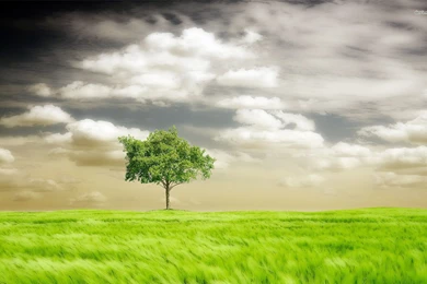 Http En Wikipedia Org Wiki Bet365 Bet365 Bonus Rules Picture And ...