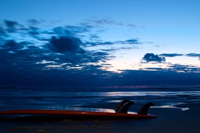 Free Surfing Wallpapers Desktop