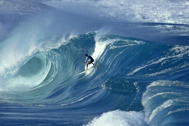 Surfing, Sport, Movement, Wave, Ocean, Windsurfing, 1920x1080 HD ...