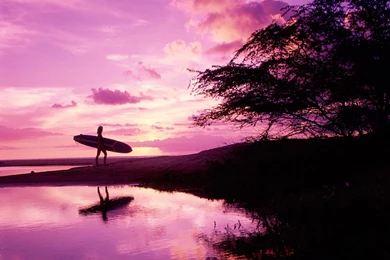 Free Surfing Wallpapers   HD Wallpapers