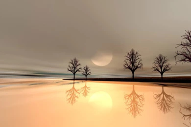 Trees Digital Art 3D (id: 68277) – BUZZERG