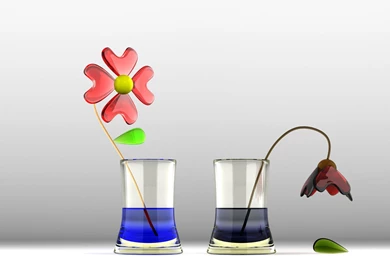 Gallery 3d Art Animation Flowers 3d Backgrounds Hd Wallpapers ...