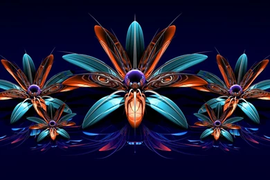 3D Flowers Fractal Art Wallpapers HD Download Of 3D Art