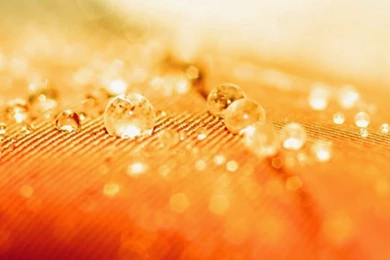 Beautiful Facebook Covers HD Wallpapers Free