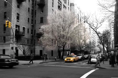 New York City Apartment Building