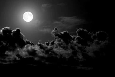 Awesome Dark Nature Wallpapers For Desktop