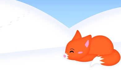 452 Fox HD Wallpapers