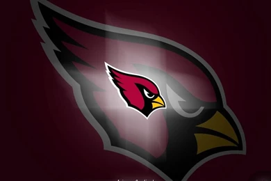 Arizona Cardinals On Pinterest