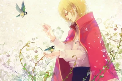 Howls Moving Castle Anime Wallpapers   1440x900   416917