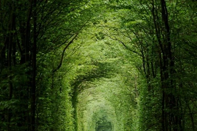 The Most Beautiful Scenery In The World