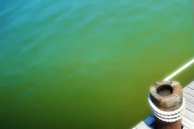 Powerpoint Template Backgrounds