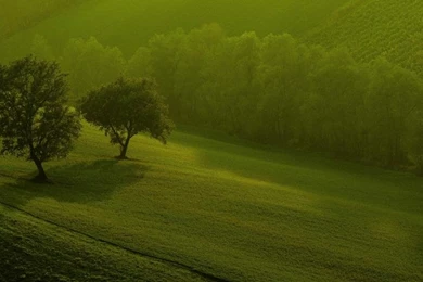 Hd Nature Wallpapers For Windows 8 Wallpapers Wallpaper,Windows HD ...