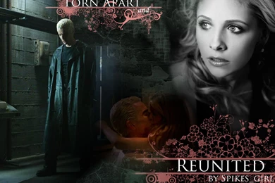 Buffy Wallpapers   Wallpapers Cave