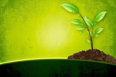 Formal Green PowerPoint Template Download