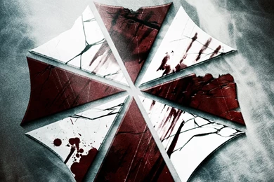 Page 6 Of Comments At Game Signs