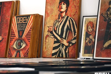 Obey Wallpapers Tag   WalOps.com