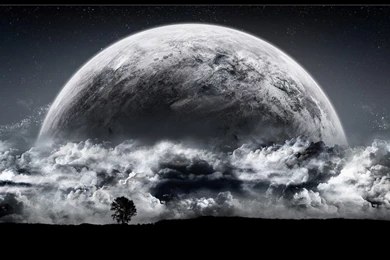 Dynamic Wallpapers Collection (42+)