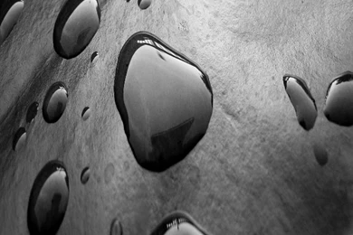 Animated Wallpapers For Iphone