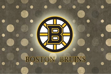Boston Bruins Wallpapers Widescreen Pictures   Fullwidehd.com