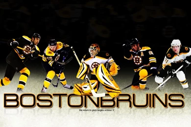 Boston Bruins Wallpapers   Wallpapers Cave