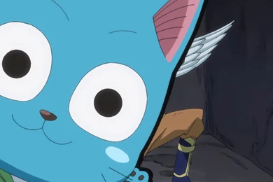 Fairy Tail Happy Wallpapers : Anime Wallpapers   Kokean.com