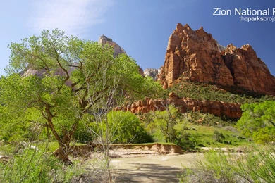 Sequoia National Park HD Wallpapers