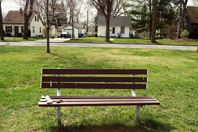 Beautiful Green Park Bench Wallpaper_other_health Questions ...