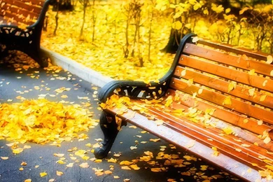 Benches HD Wallpapers