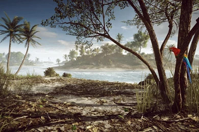 Battlefield 4,bf3,walksonpoo,bf4 Backgrounds Wallpapers