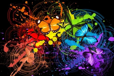 Butterflies,color Splash Butterflies Color Splash 1024x768 ...