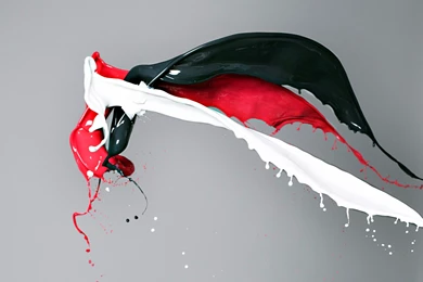 Color Splash Creative HD Easy On The Eye Wallpapers Free HD ...