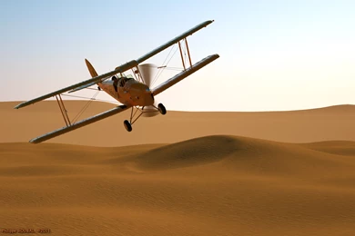 Tiger Moth Wallpaper Images