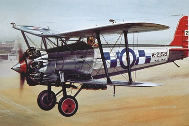 Bristol Bulldog Computer Wallpapers, Desktop Backgrounds ...