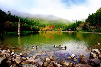 HD Doğa Resimleri   Masaüstü Duvar Kağıtları » Android Indir