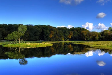 Polaroid Collage Tumblr