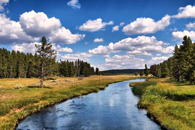 25 Free Nature HD Backgrounds