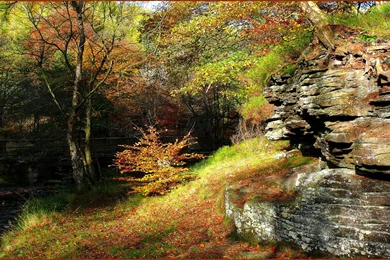 Doğa Resimleri   Duvar Kağıtları 13 » APK Indir