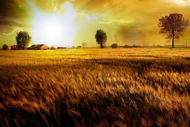 HD Kalitesinde Doğa Fotoğrafları