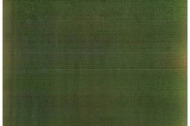 Lexmark United States Mixed Color Backgrounds On Pages Printed From ...