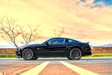 2014 Ford Mustang Shelby GT500 HD Wallpapers