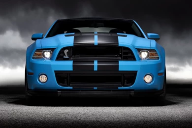 Ford Shelby Gt500 2013 Wallpapers Hd Car Wallpapers