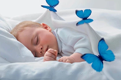 Wallpaper: Sleeping Babies Wallpapers