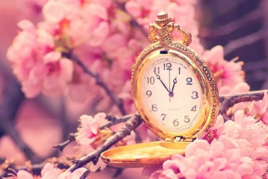 Colorful Spring Wallpapers (18 Photos)