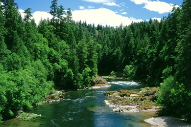 Spring River Wallpapers