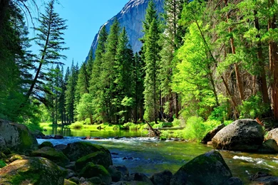 Nature Wallpaper: River HD Wallpapers HD Resolution Wallpapers ...