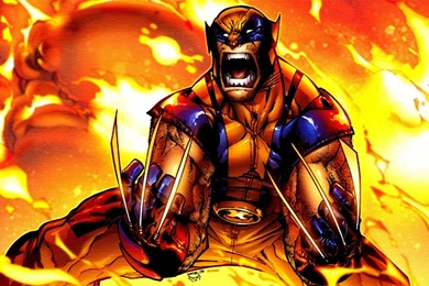 HQ Wolverine Wallpapers